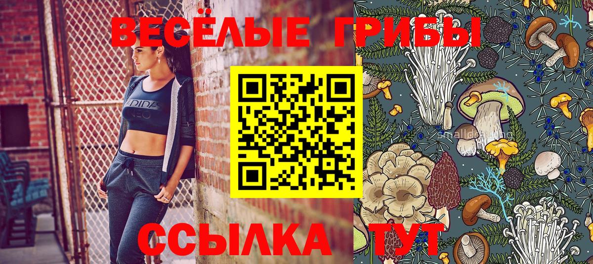 Галлюциногенные грибы Psilocybe Чистополь
